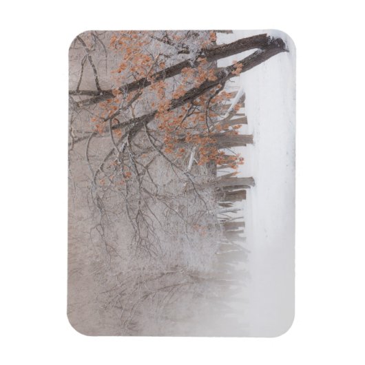 Wintersneeuw | Meer van Kussharo Magneet (Verticaal)