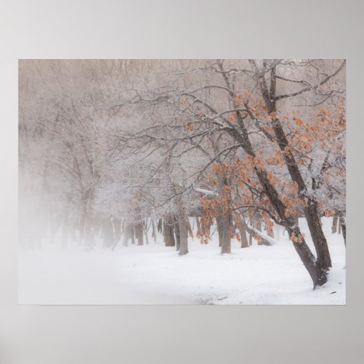 Wintersneeuw | Meer van Kussharo Poster (Voorkant)