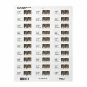 Wintersneeuw met koude boomstammen. etiket (Full Sheet)