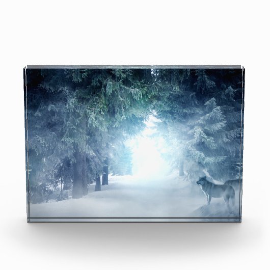 Wintersneeuw met wolven in het Evergreen Forest Fotoblokken (Voorkant)