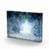 Wintersneeuw met wolven in het Evergreen Forest Fotoblokken (Rechts)