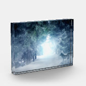 Wintersneeuw met wolven in het Evergreen Forest Fotoblokken (Links)