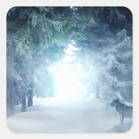 Wintersneeuw met wolven in het Evergreen Forest Vierkante Sticker (Voorkant)