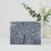 Wintersneeuw op een boom briefkaart (Staand voorkant)