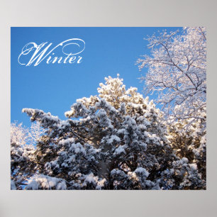 Wintersneeuw op Treetops Poster