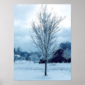 Wintersneeuw Poster (Voorkant)