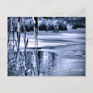 Wintersneeuwblauw Ice Water Ripples Cattails Briefkaart