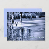 Wintersneeuwblauw Ice Water Ripples Cattails Briefkaart (Voorkant / Achterkant)
