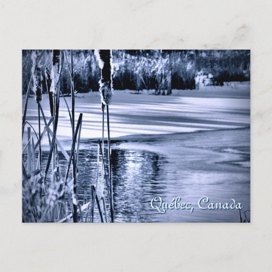 Wintersneeuwblauw Ice Water Ripples Cattails Briefkaart (Voorkant)