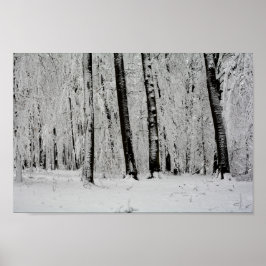 Wintersneeuwbomen - poster