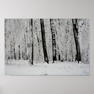 Wintersneeuwbomen   -     - poster
