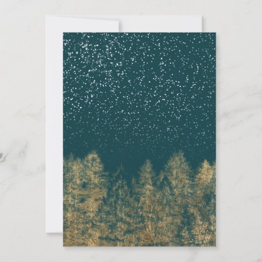 Wintersneeuwgroenblauw huwelijk kaart (Achterkant)