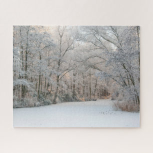 Wintersneeuwlandschap, 520 stukken Jigzaag Puzzle Legpuzzel
