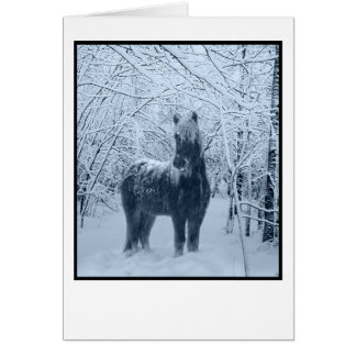 Wintersneeuwpaard