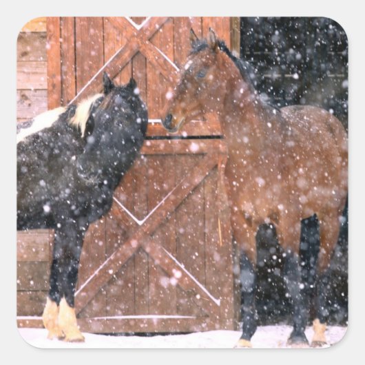 Wintersneeuwpaarden in Barn Vierkante Sticker (Voorkant)