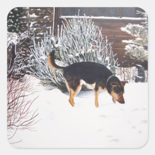 Wintersneeuwscène met schattige zwarte en geelbru vierkante sticker