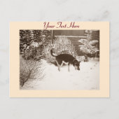 Wintersneeuwscène met schattige zwarte en geelbrui briefkaart (Voorkant)