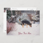 Wintersneeuwscène met schattige zwarte en geelbrui briefkaart (Voorkant / Achterkant)