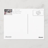 Wintersneeuwscène met schattige zwarte en geelbrui briefkaart (Achterkant)