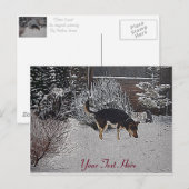Wintersneeuwscène met schattige zwarte en geelbrui briefkaart (Voorkant / Achterkant)