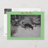 Wintersneeuwscène met schattige zwarte en geelbrui briefkaart (Voorkant / Achterkant)