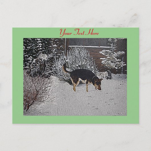 Wintersneeuwscène met schattige zwarte en geelbrui briefkaart (Voorkant)