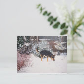Wintersneeuwscène met schattige zwarte en geelbrui briefkaart (Staand voorkant)