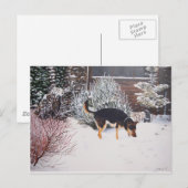 Wintersneeuwscène met schattige zwarte en geelbrui briefkaart (Voorkant / Achterkant)