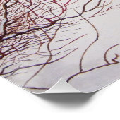 Wintersneeuwscène met schattige zwarte en geelbrui poster (Hoek)