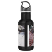 Wintersneeuwscène met schattige zwarte en geelbrui waterfles (Achterkant)