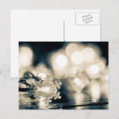 Wintersneeuwsneeuwflauwvallen Briefkaart (Voorkant / Achterkant)