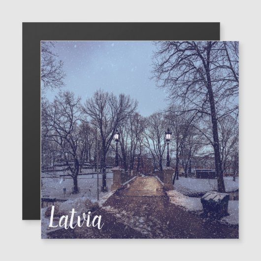 Wintersneeuwstadspark in de avond (Voorkant / Achterkant)