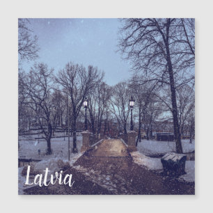 Wintersneeuwstadspark in de avond