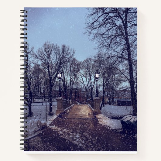 Wintersneeuwstadspark in de avond notitieboek (Voorkant)