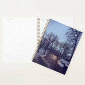 Wintersneeuwstadspark in de avond planner (Display)