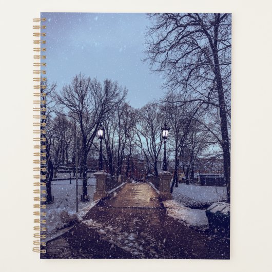 Wintersneeuwstadspark in de avond planner (Voorkant)