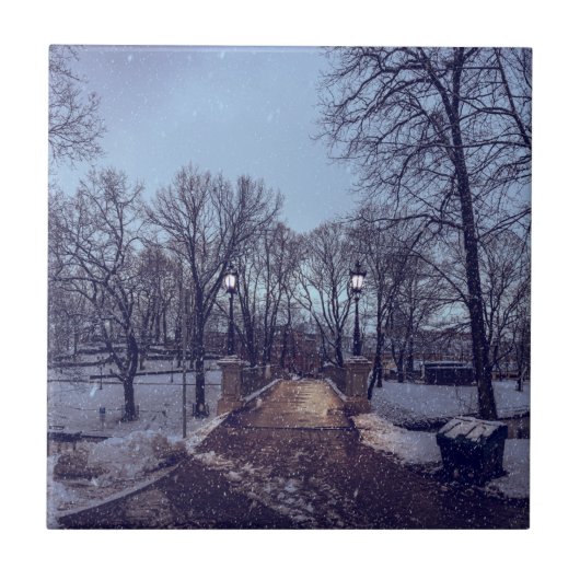 Wintersneeuwstadspark in de avond tegeltje (Voorkant)