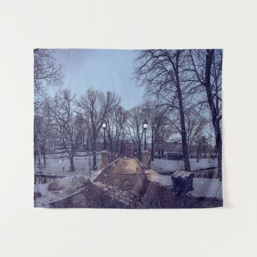 Wintersneeuwstadspark in de avond wandkleed (Voorkant (horizontaal))