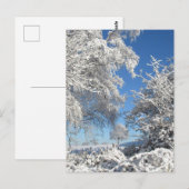 Wintersneeuwval briefkaart (Voorkant / Achterkant)