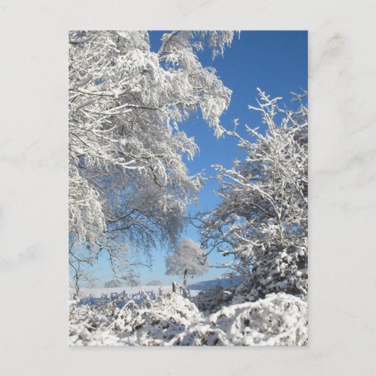 Wintersneeuwval briefkaart (Voorkant)