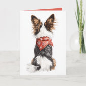 wintersnorharen (Voorkant)