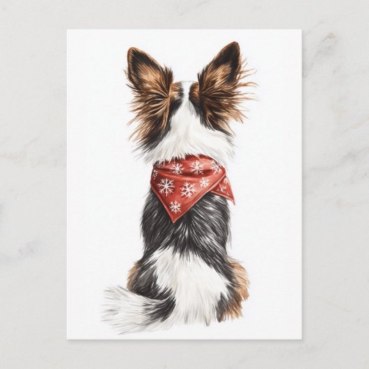 wintersnorharen briefkaart (Voorkant)