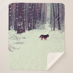Wintersnowy dennenbos, hond die in het bos loopt sherpa deken
