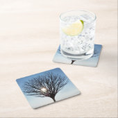 winterson kartonnen onderzetters (Insitu)