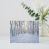 Wintersonlicht in stil berkenbos briefkaart (Staand voorkant)