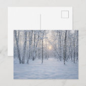 Wintersonlicht in stil berkenbos briefkaart (Voorkant / Achterkant)