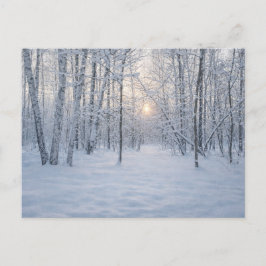 Wintersonlicht in stil berkenbos briefkaart