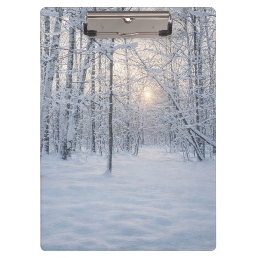 Wintersonlicht in stil berkenbos klembord (Voorkant)