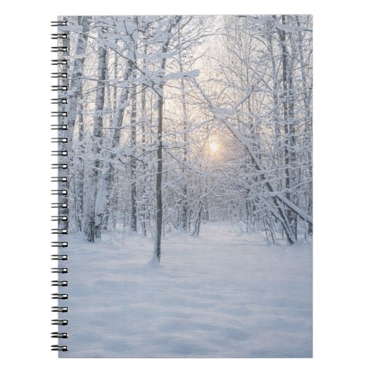 Wintersonlicht in stil berkenbos notitieboek (Voorkant)