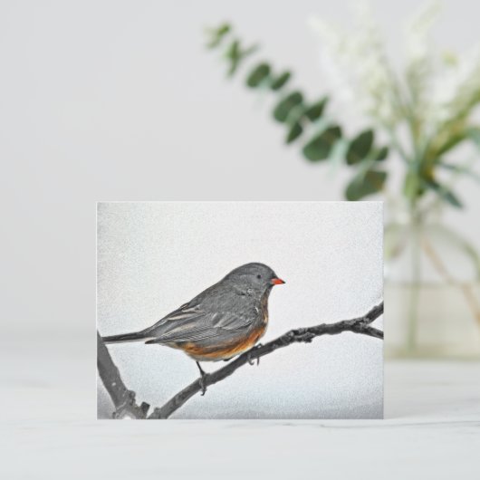 WinterSparrow Briefkaart (Staand voorkant)
